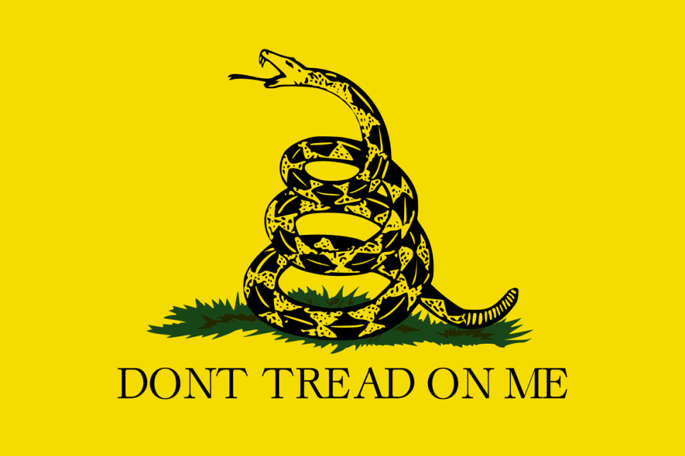 Your Constitutionally Protected Rights are Being Trampled