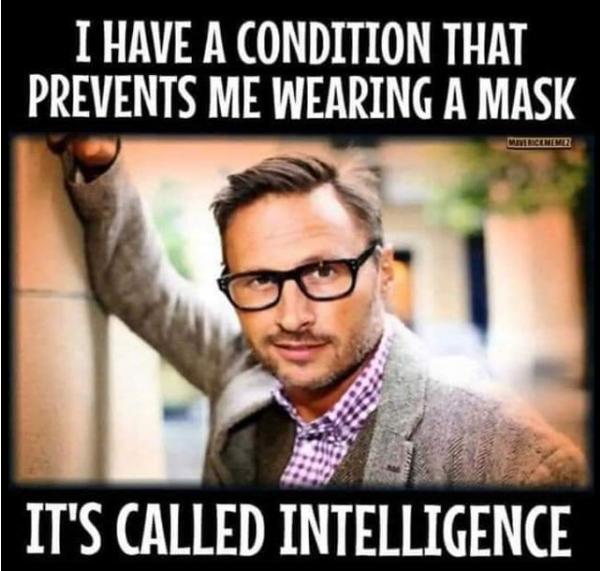 Are You Too STUPID to Wear a Mask?